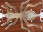 Preview: ANTCUBE - PF 20 M  - Ant - Edelholz